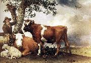 paulus potter The bull. oil